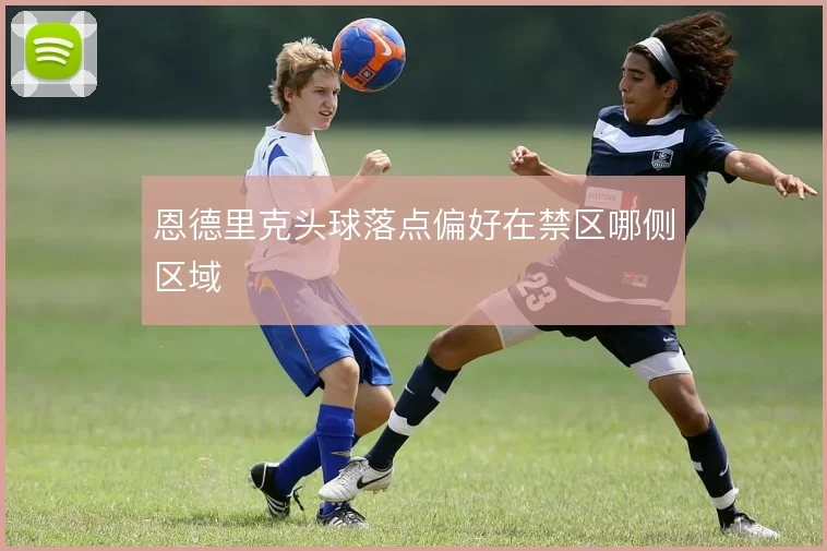 恩德里克头球落点偏好在禁区哪侧区域